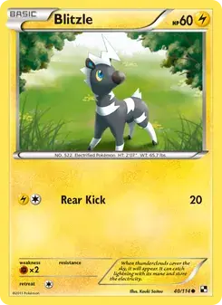 Blitzle 40/114 Black & White Pokémon Karte