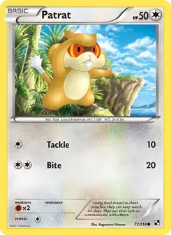 Patrat 77/114 Black & White Pokémon card