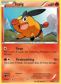 Tepig BW07 BW Black Star Promos Pokémon card