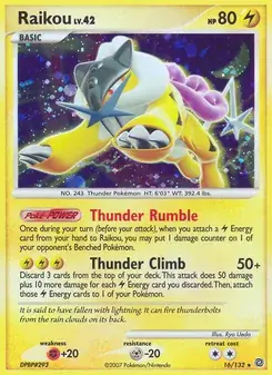 Raikou 16/132 Secret Wonders Pokémon card