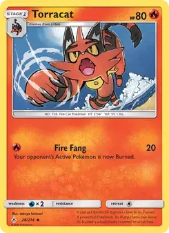 Torracat 28/214 Unbroken Bonds Pokémon card