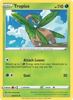 Tropius 5/72 Shining Fates Pokémon card
