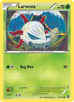Larvesta 14/114 Steam Siege Pokémon card