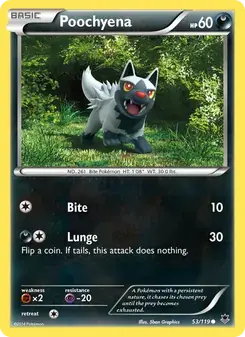 Poochyena 53/119 Phantom Forces Pokémon card