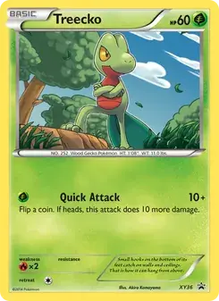 Treecko XY36 XY Black Star Promos Pokémon card