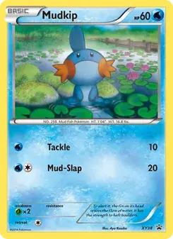 Mudkip XY38 XY Black Star Promos Pokémon card