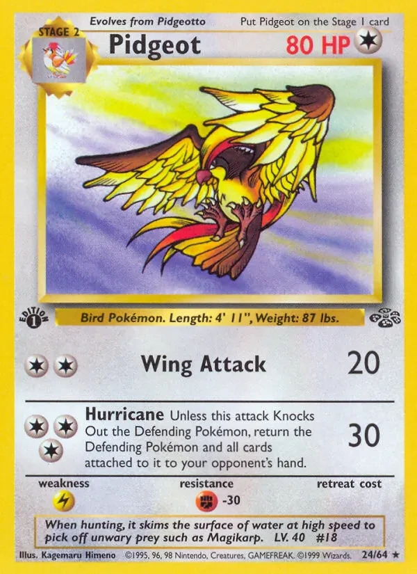 Pidgeot 24/64 Jungle Pokémon Karte