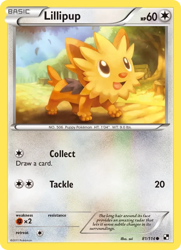 Lillipup 81/114 Black & White Pokémon card