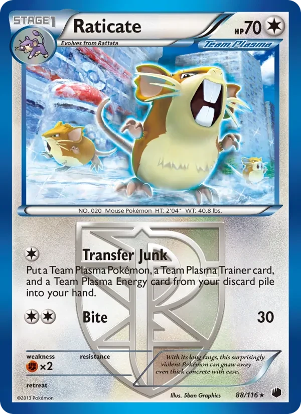 Raticate 88/116 Plasma Freeze Pokémon card