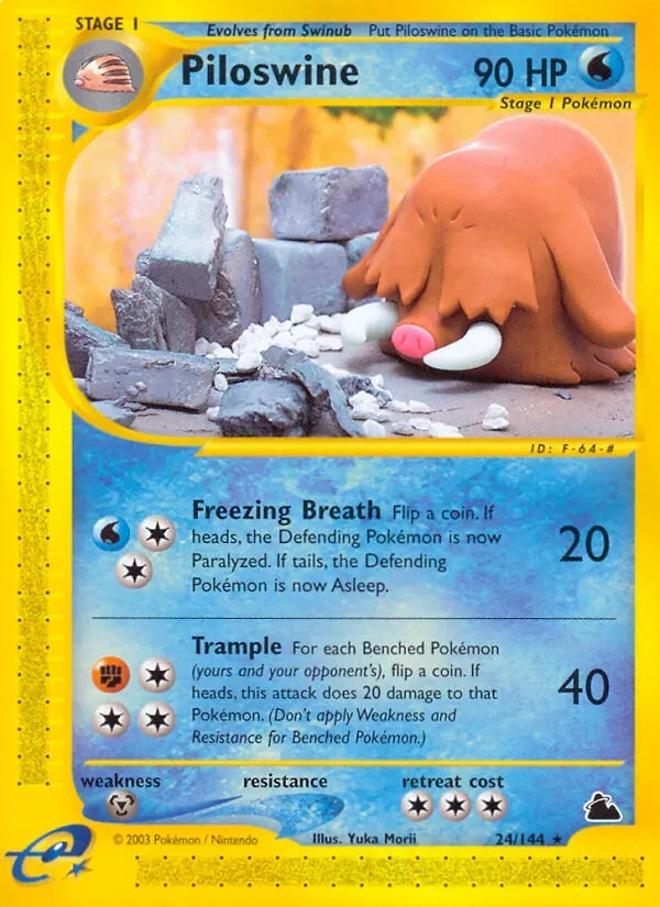Piloswine 24/144 Skyridge Pokémon card
