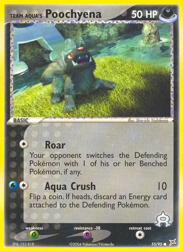 Carte Pokémon Team Aqua's Poochyena 55/95 Team Magma vs Team Aqua