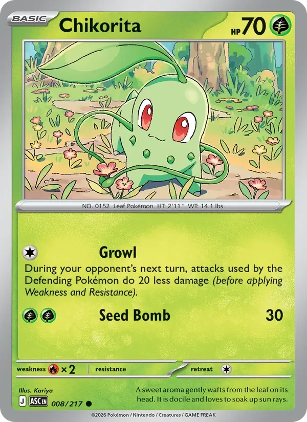 Chikorita 008/217 Ascended Heroes Pokémon card