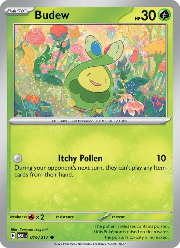 Budew 016/217 Ascended Heroes Pokémon card