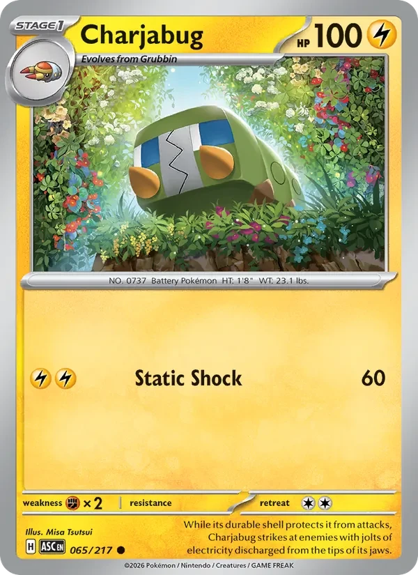 Charjabug 065/217 Ascended Heroes Pokémon Karte