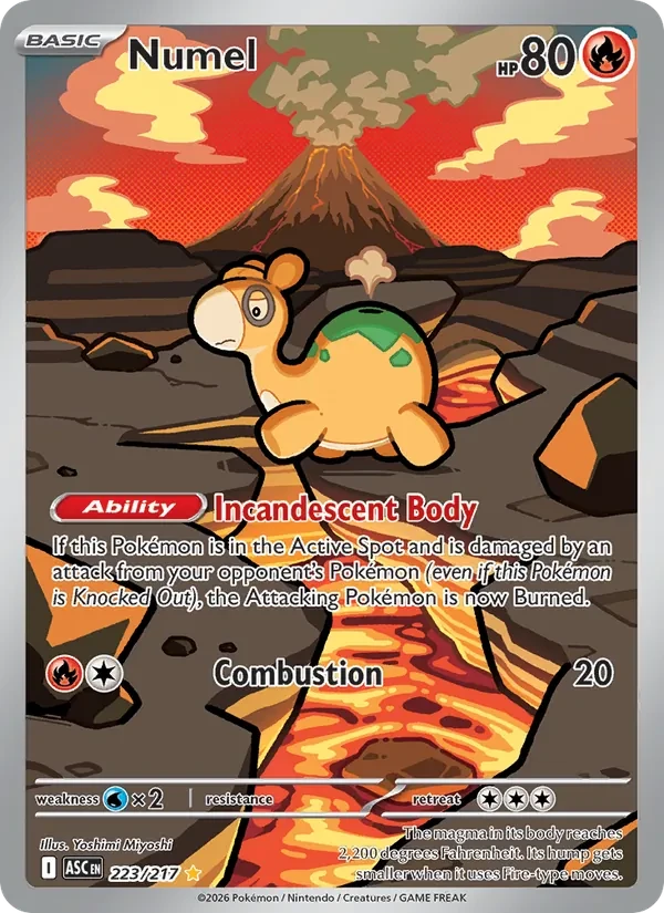 Numel 223/217 Ascended Heroes Pokémon card
