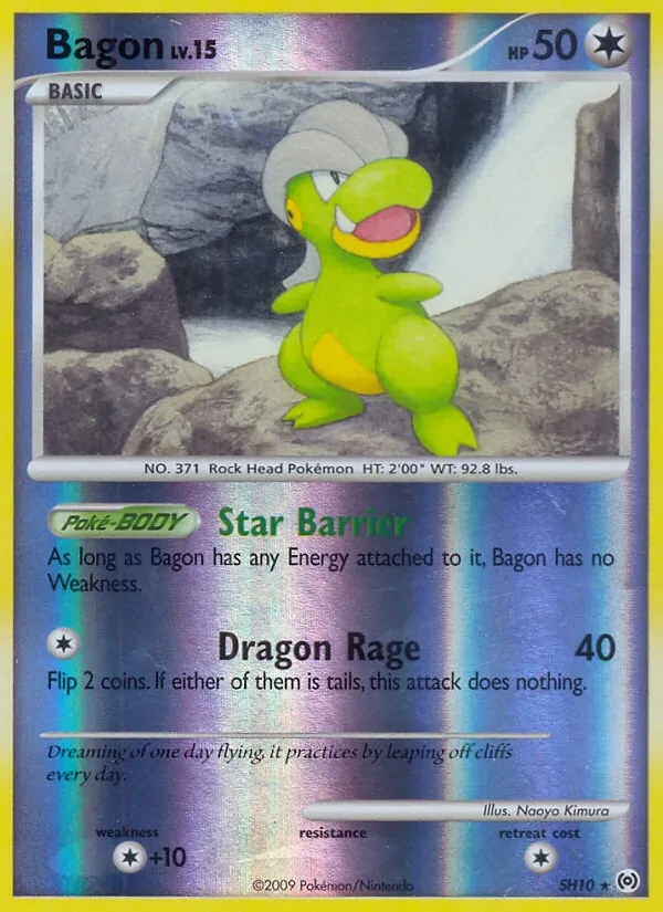 Bagon SH10 Arceus Pokémon Karte