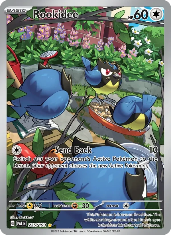 Rookidee 225/193 Paldea Evolved Pokémon card