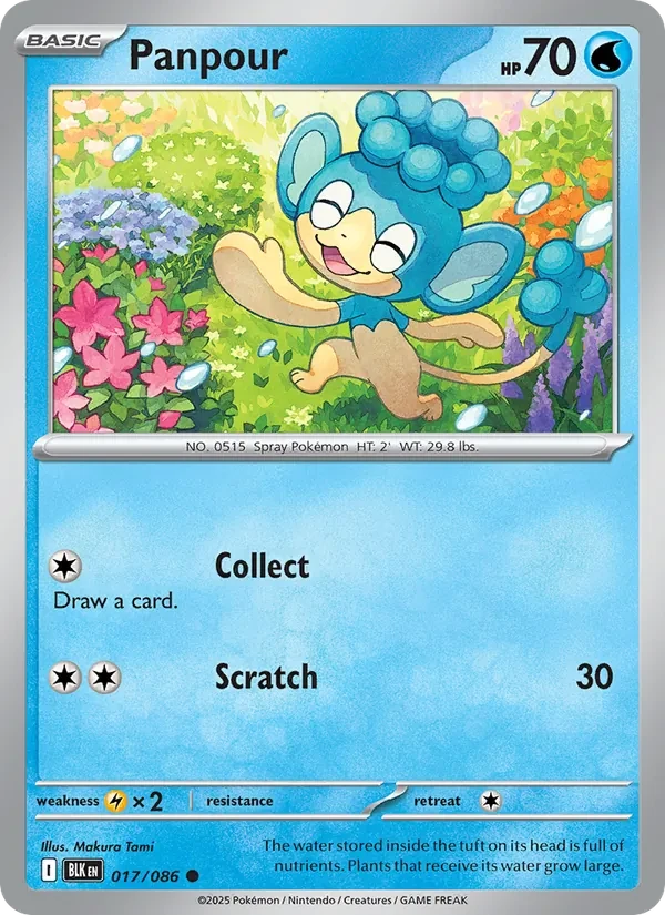 Panpour 017/86 Black Bolt Pokémon card