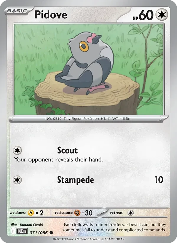 Pidove 071/86 Black Bolt Pokémon card