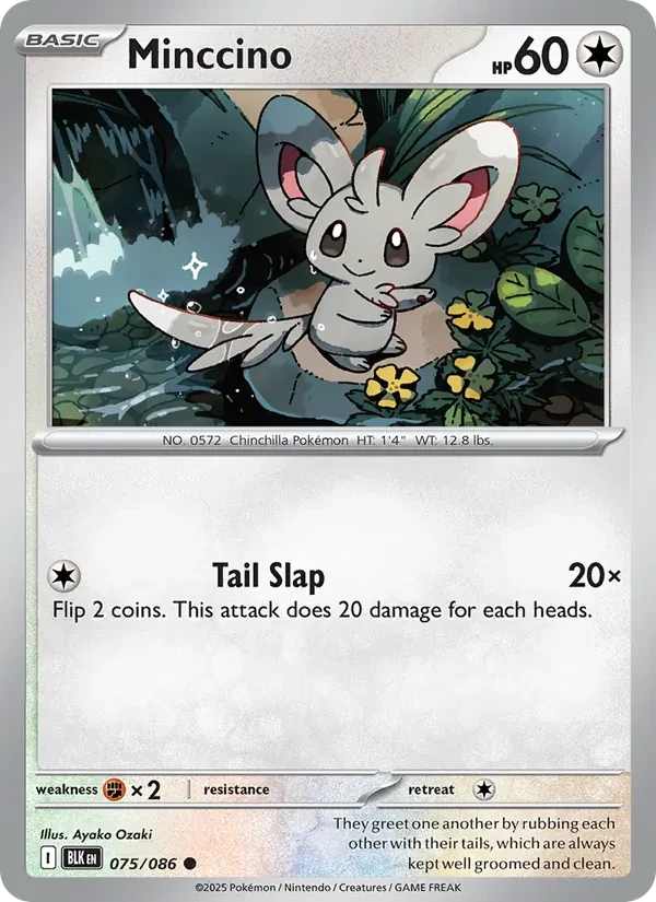 Minccino 075/86 Black Bolt Pokémon card