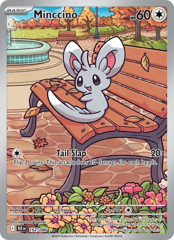 Minccino 152/86 Black Bolt Pokémon card