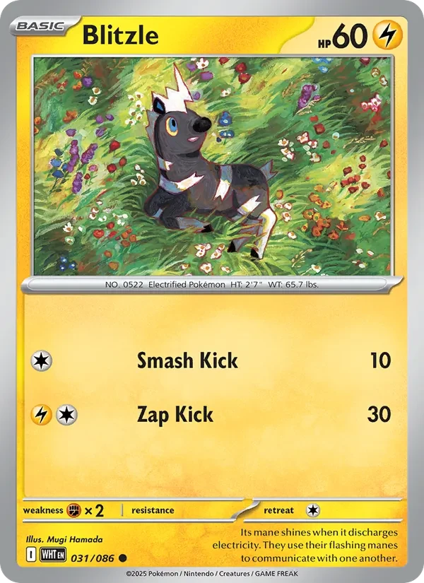 Blitzle 031/86 White Flare Pokémon card