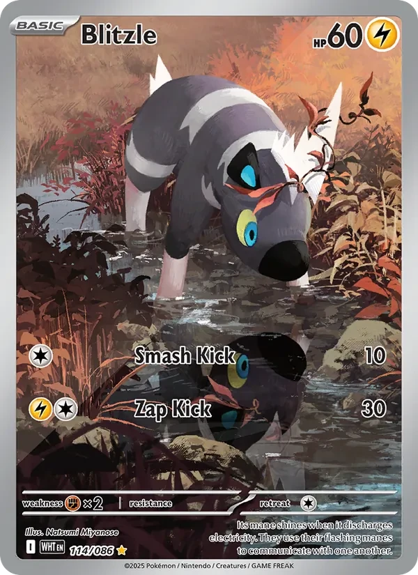 Blitzle 114/86 White Flare Pokémon card