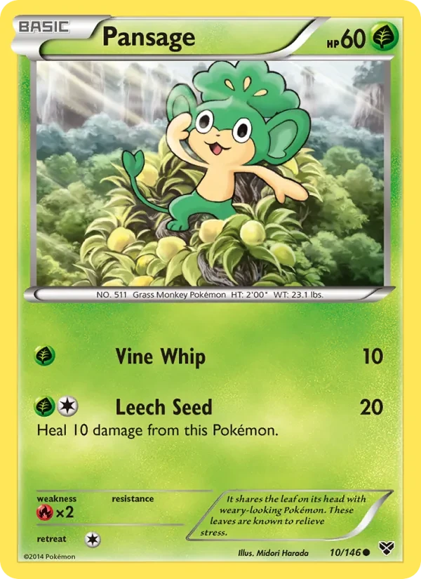 Pansage 10/146 XY Pokémon Karte