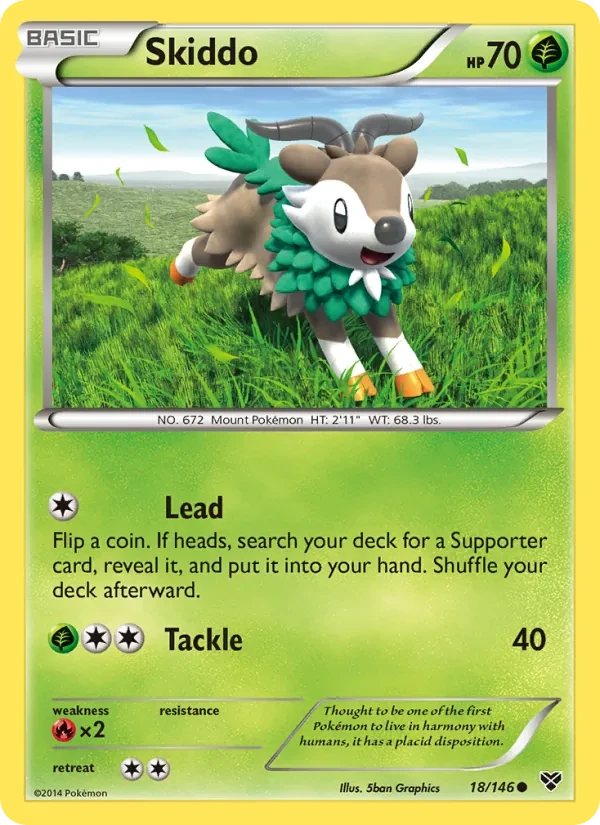 Skiddo 18/146 XY Pokémon card