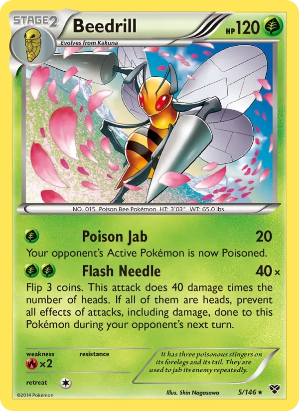 Beedrill 5/146 XY Pokémon Karte
