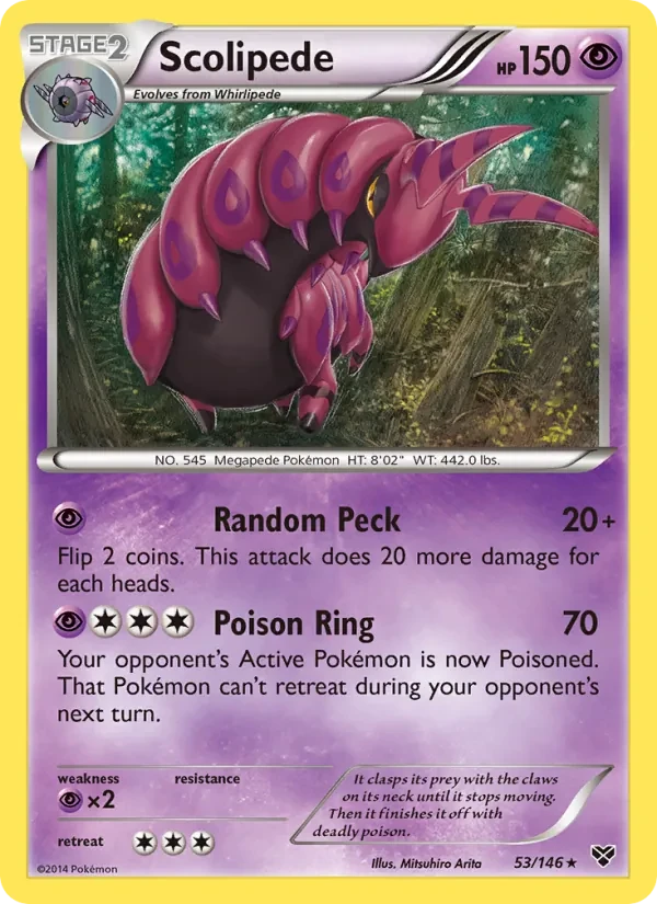 Scolipede 53/146 XY Pokémon Karte