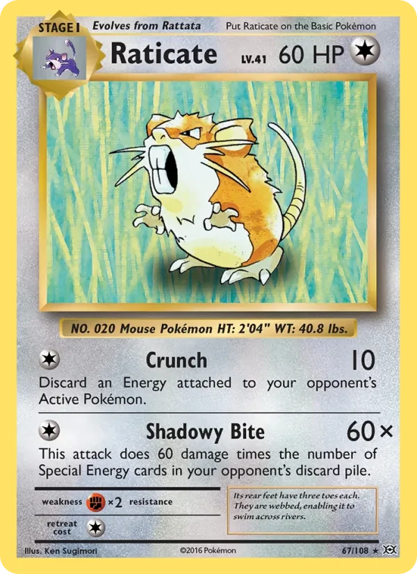 Raticate 67/108 Evolutions Pokémon card