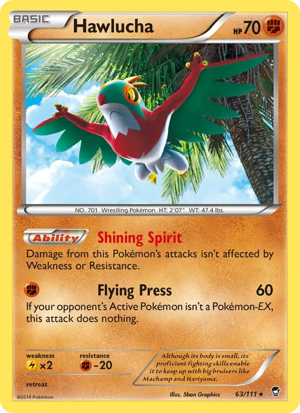 Hawlucha 63/111 Furious Fists Pokémon card