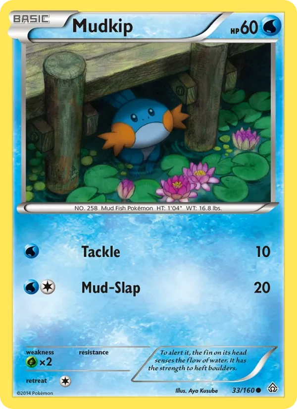 Mudkip 33/160 Primal Clash Pokémon Karte